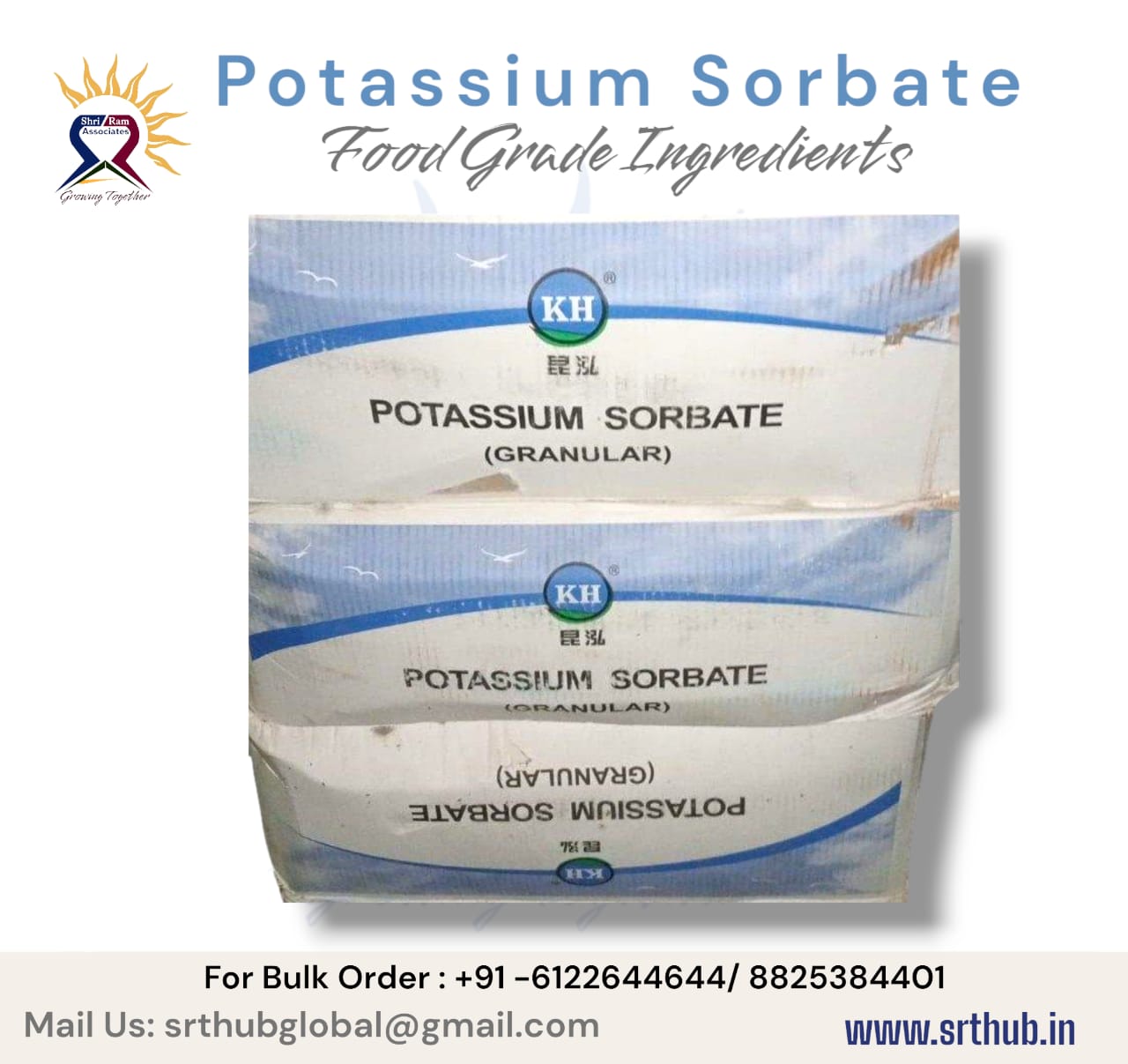 WhatsApp Image 2024-08-18 at 5.51.04 PM (1)